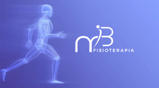 Fisioterapia profesional